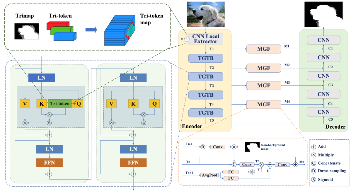 TransMatting
